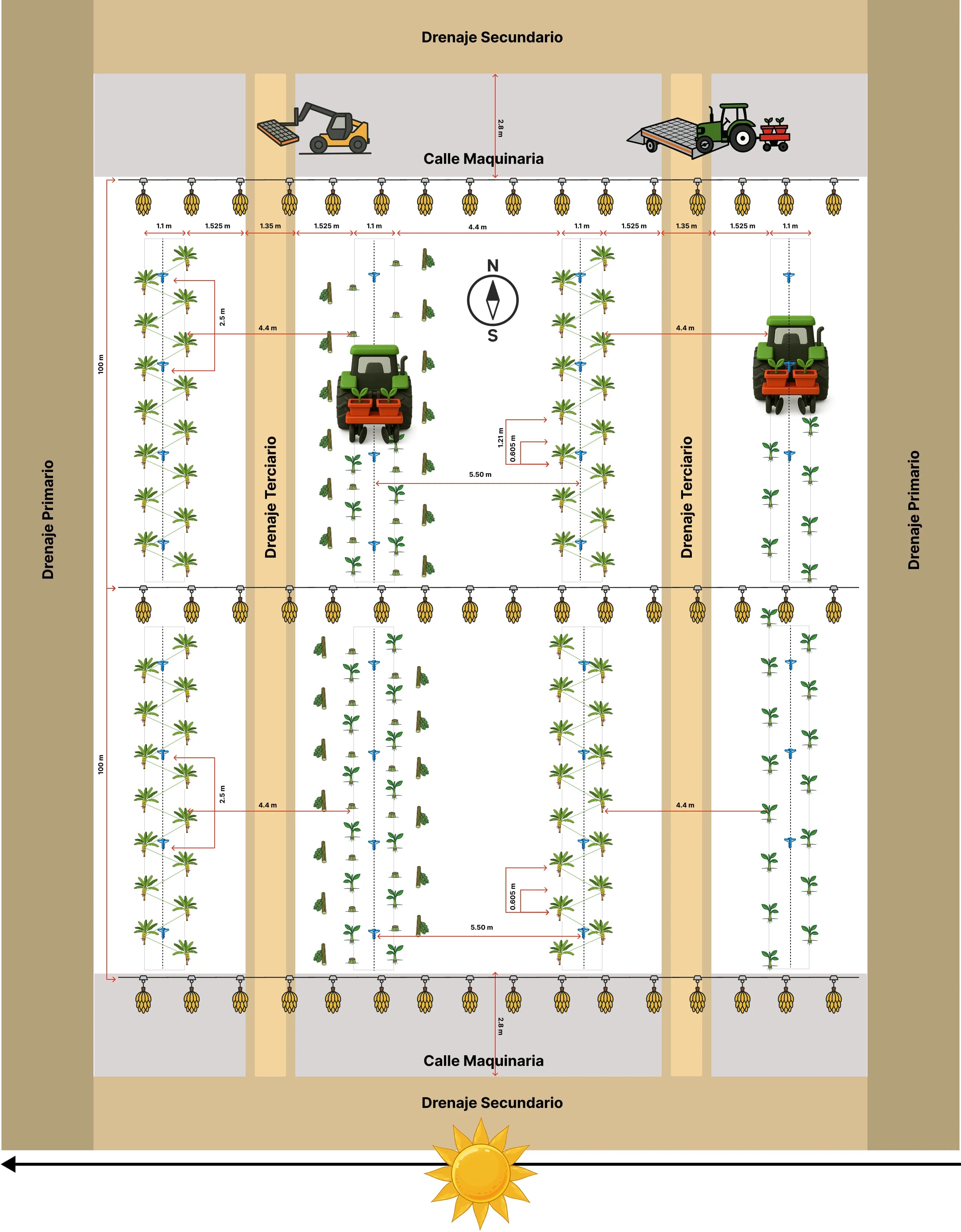 CTP Illustration