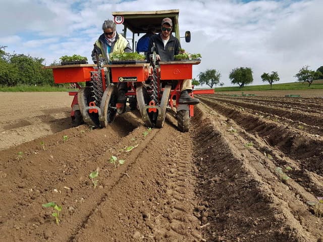 Foxdrive Planter